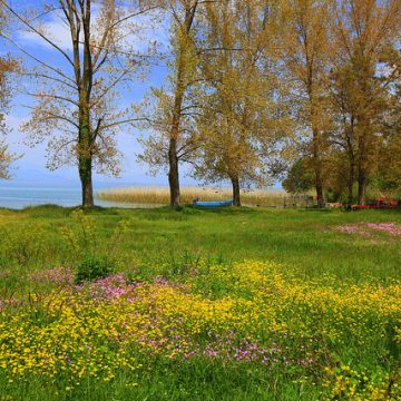 Ohrid-Prespa certified by UNESCO as a Biosphere Inter-Border Reserve