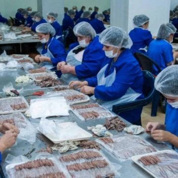 Nettuno fish processing company, a success story
