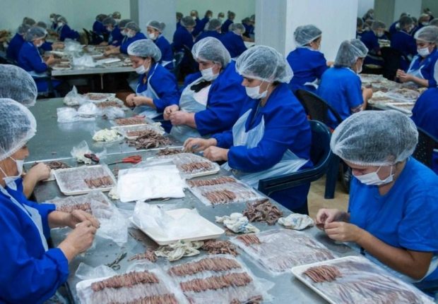 Fish Processing Factory in Albania