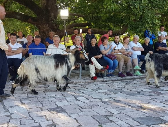 Pan Festival Celebrated for First Time in Nivica Pan Festival Celebrated for First Time in Nivica