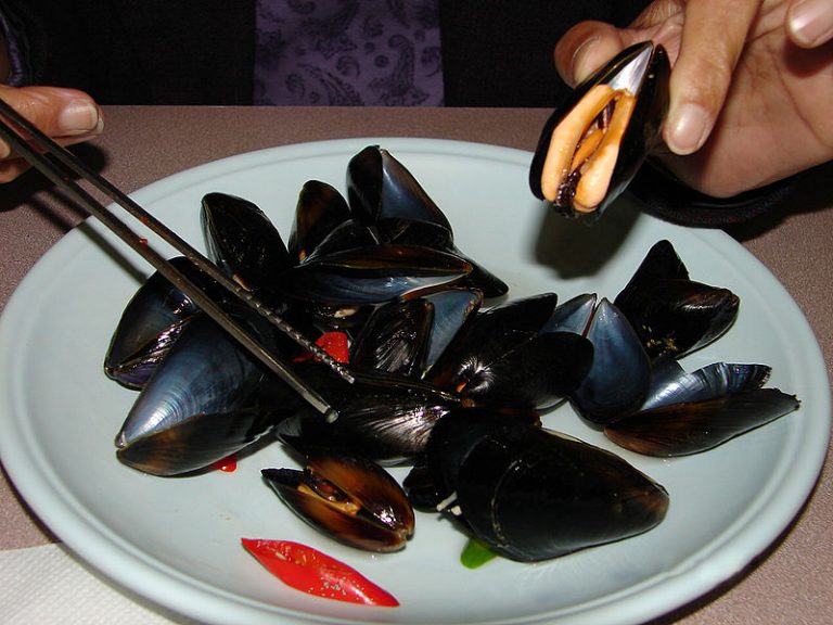 The cultivation of mussels increased by 50 in 2014 • IIA
