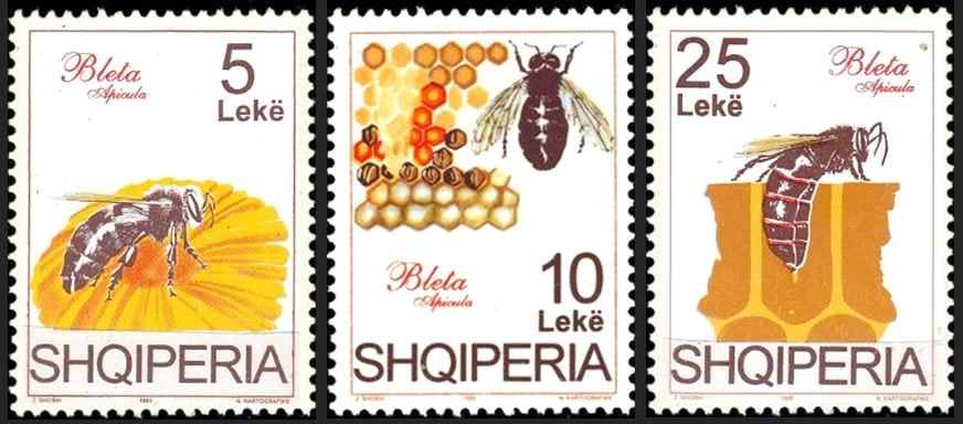 Honey Trail Albania
