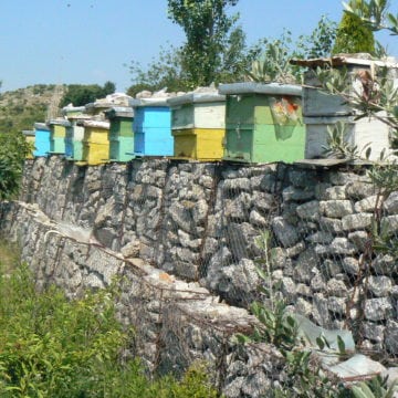 The Honey Trail, Discover the Sweetest Tour in Albania