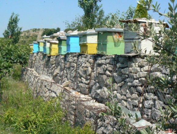 The Honey Trail, Discover the Sweetest Tour in Albania The Honey Trail, Discover the Sweetest Tour in Albania