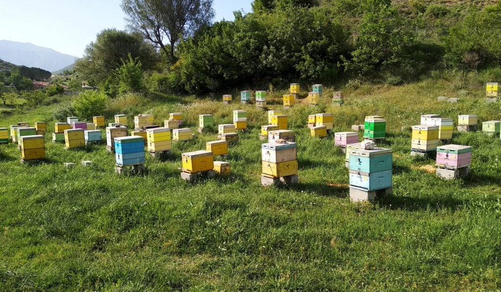 BeeAlbania Honey Trail