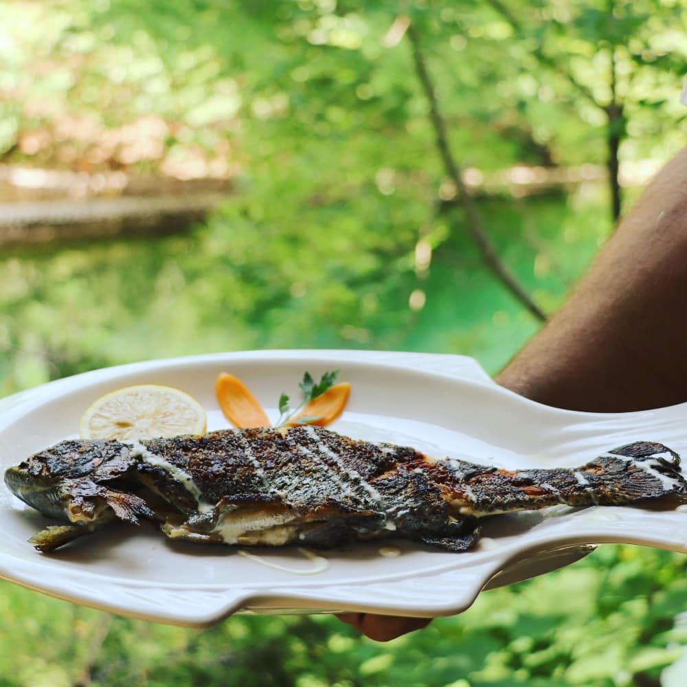 Agrotourism in Albania