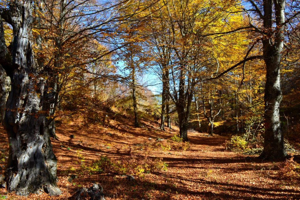 Autumn in Prespa