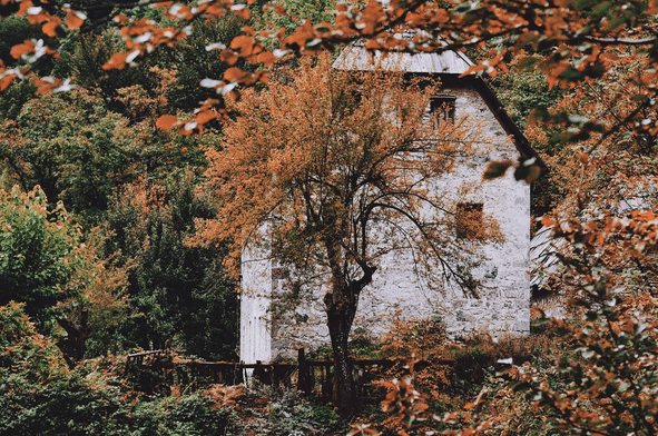 autumn 1