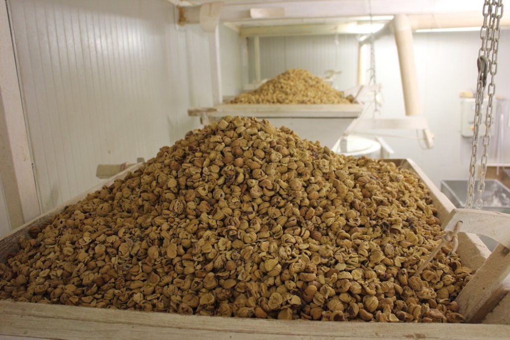 Tropoja chestnuts