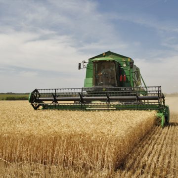 Agricultural production increased significantly during 2015