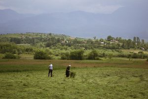 agriculture in Albania