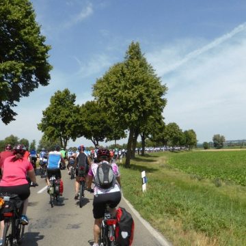 Some 350 German Tourists Pedal from Vlora to Apollonia