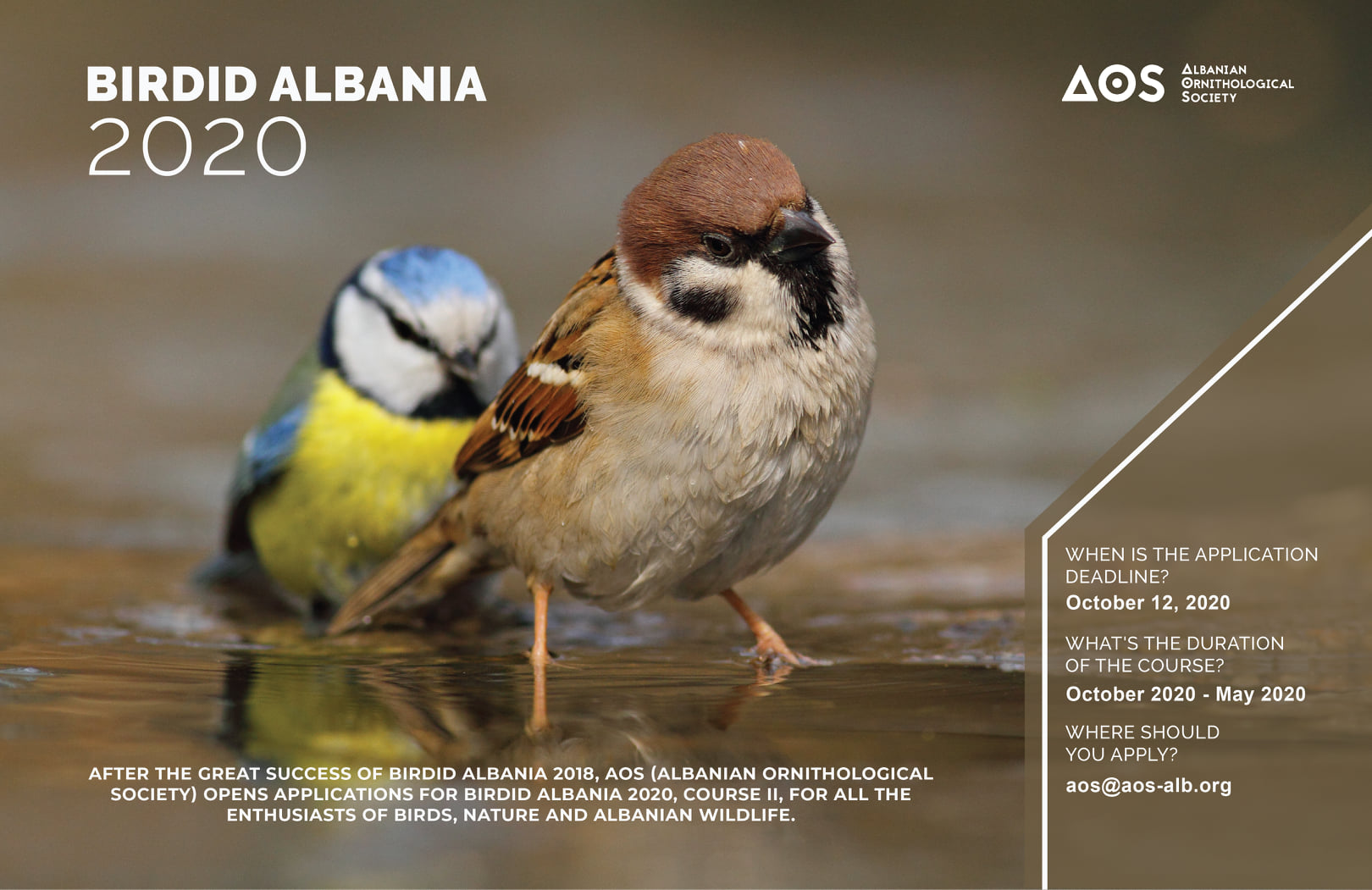 Bird Identification Albania
