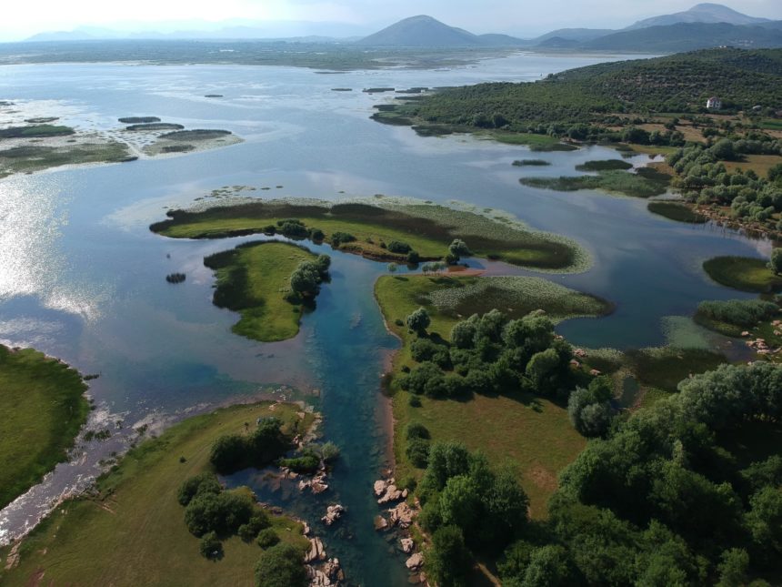 Let’s Celebrate Albania’s Ramsar Sites on World Wetlands Day