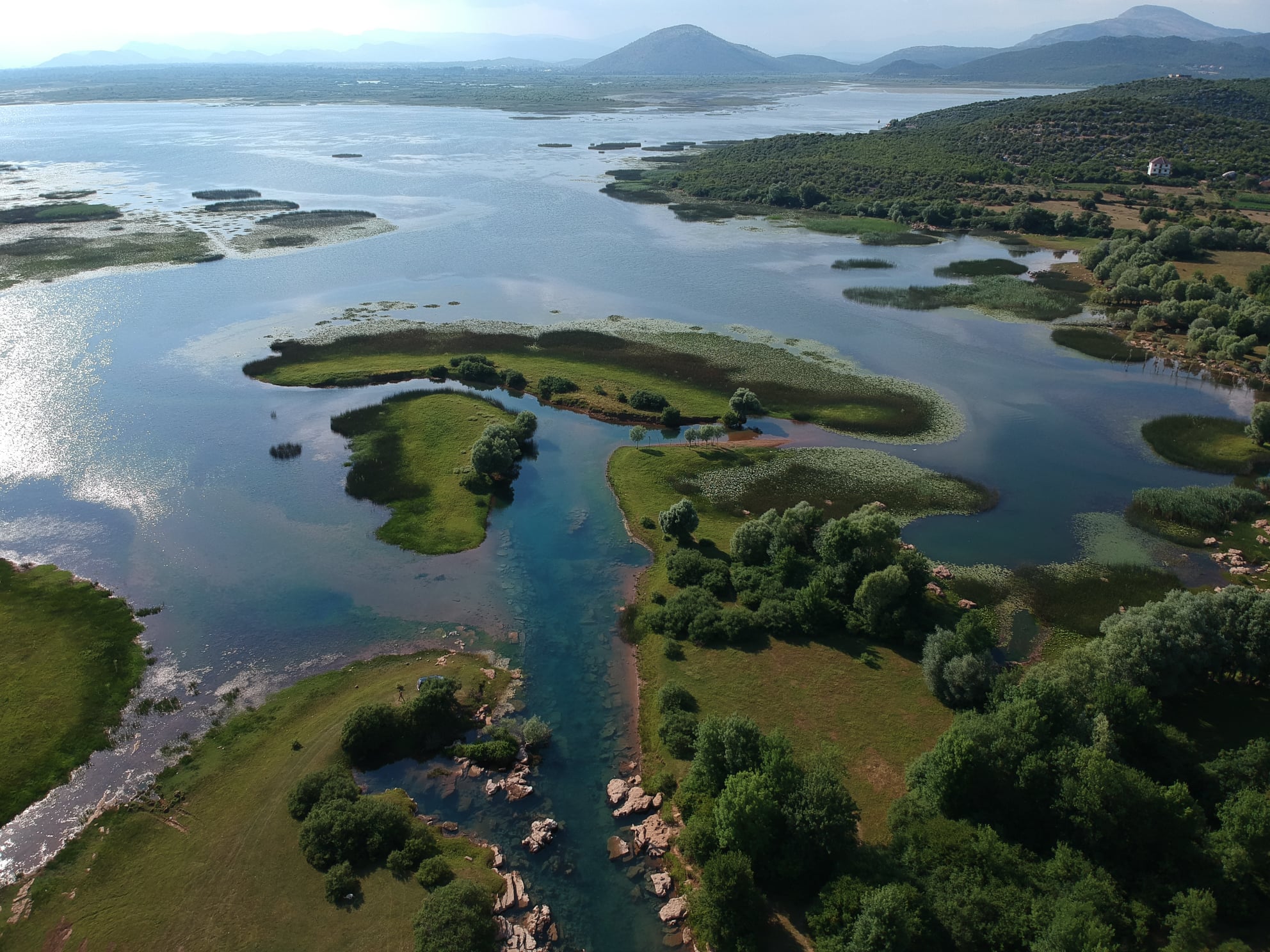 Wetlands Albania