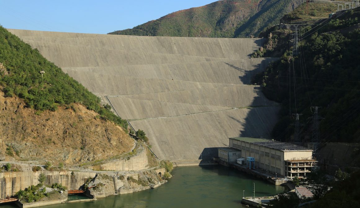 albanian green energy sh.p.k biomasa albanian green energy sh.p.k biomasa