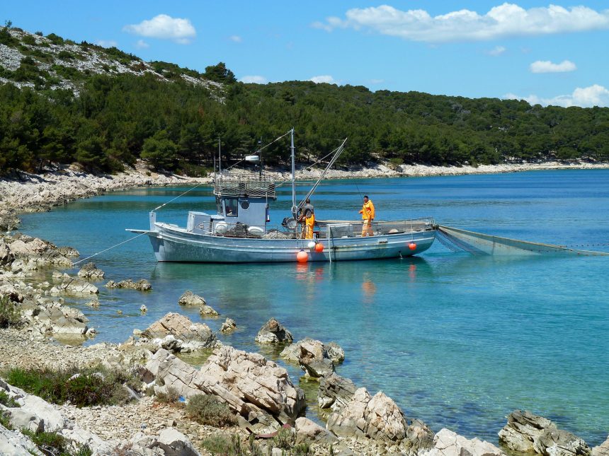 Fishing industry, a lucrative business in Albania