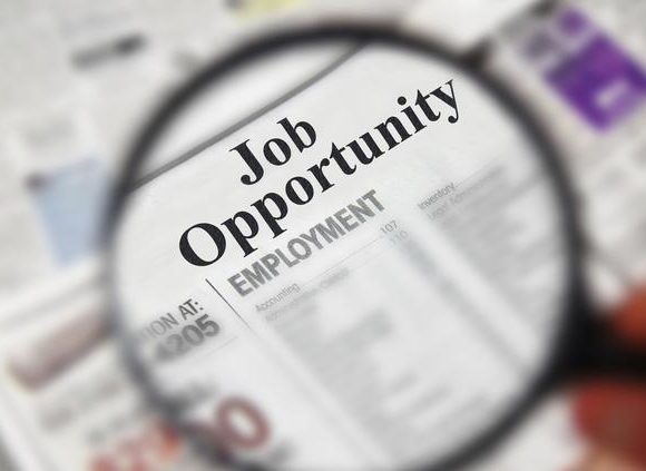 How to Promote the Sector to Reach 50,000 Jobs How to Promote the Sector to Reach 50,000 Jobs