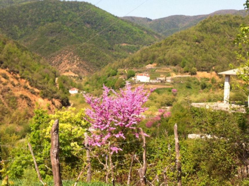 Katundi i Vjeter, Part of the Project '100 Villages' • IIA