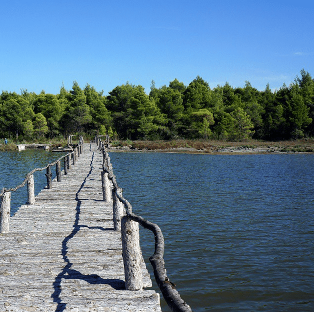 Enjoy Albania: Divjake-Karavasta National Park • IIA