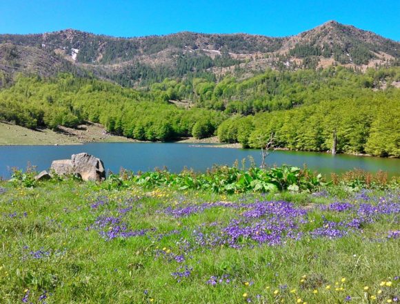 Travel the Unknown: Explore Kacnia Glacial Lakes in Dibra Travel the Unknown: Explore Kacnia Glacial Lakes in Dibra