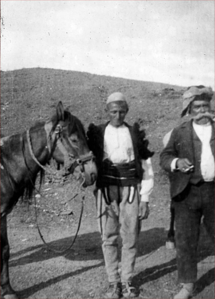Albanian