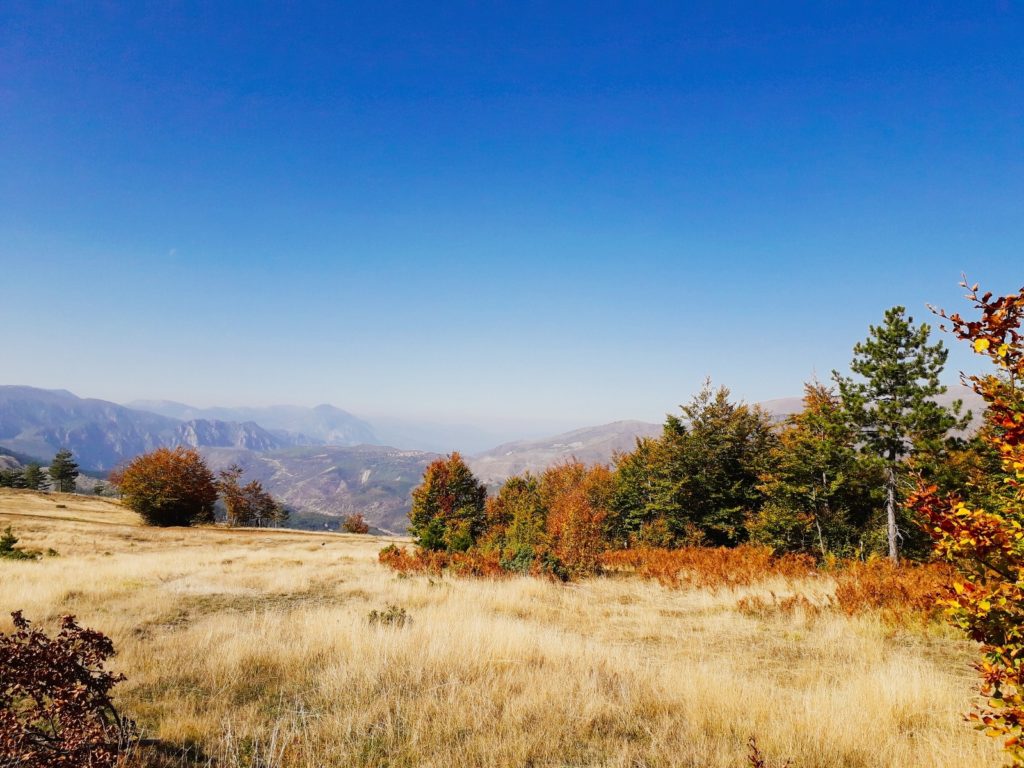 Bize Martanesh Protected Area
