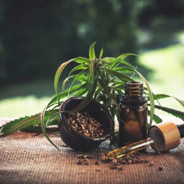 Albania Plans to Legalize Marijuana for Medical Use