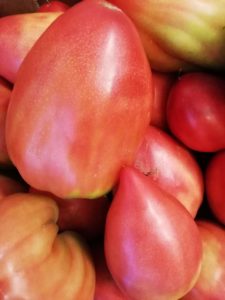 Albanian Oxheart Tomato