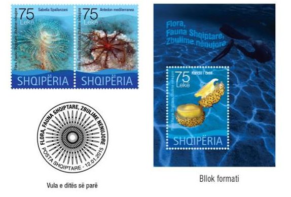 Postal Service issues postmarks with images from beaches’ underwater world