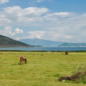 Grants for Tourism, Agro, and Fishing Businesses in Prespa Area