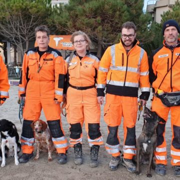 Meet the Hero Rescue Dogs that Helped in Albania Earthquake
