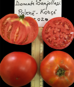 Sanjollasi Tomato