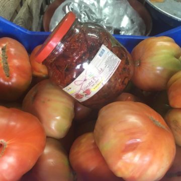 Serreke Tomato variety