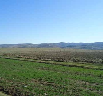 Incomes from agricultural farms have increased in Vlora county, survey says