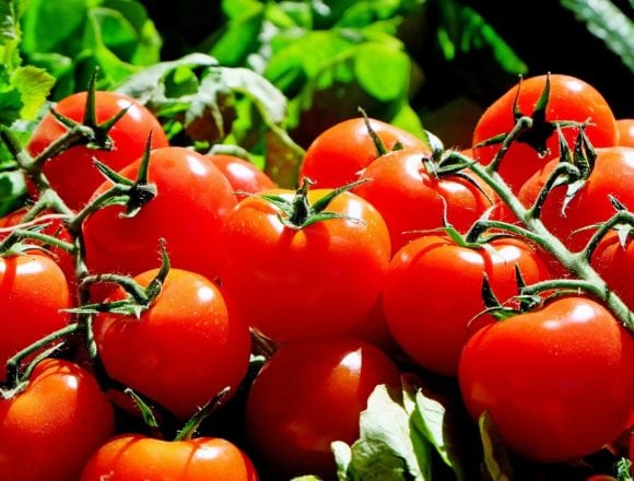 Agricultural Exports Increased in First Half of 2018 Agricultural Exports Increased in First Half of 2018