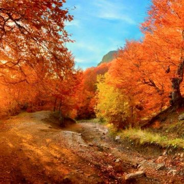 To visit Theth Natural Park during autumn