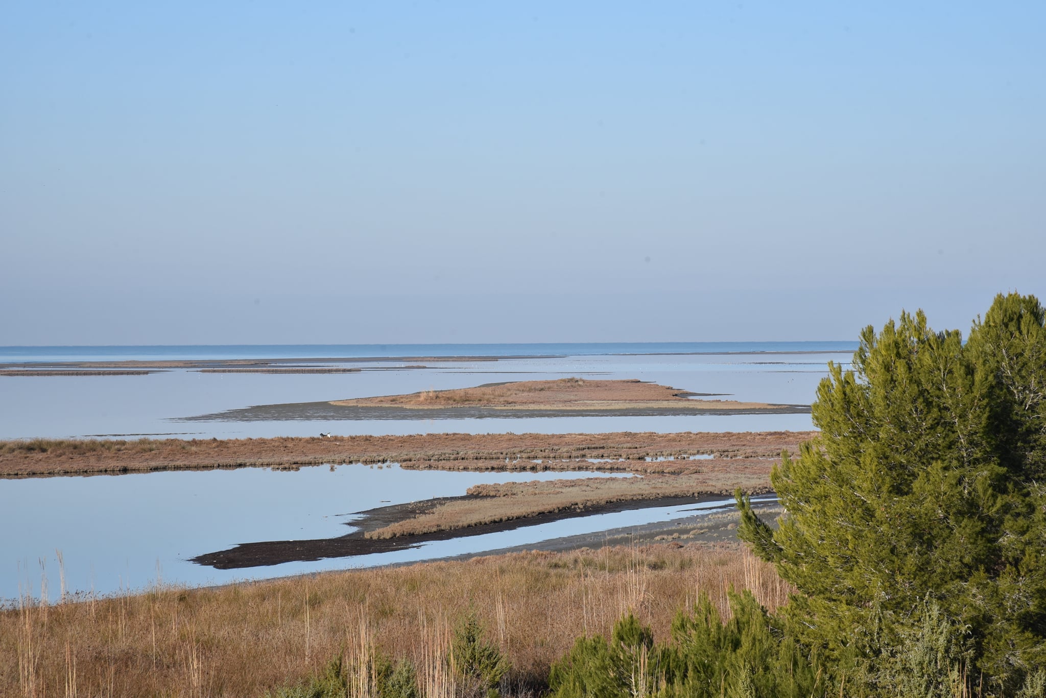 Wetland in Albania