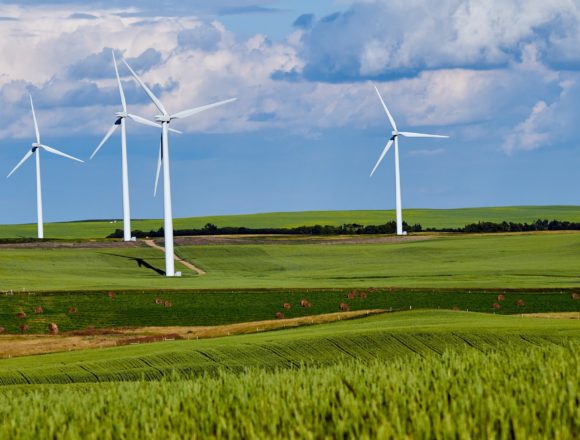 Govt Approves Wind Farm Project in Fieri Area